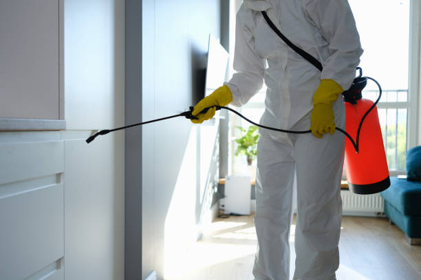 Professional Mold Removal in East Basin, UT